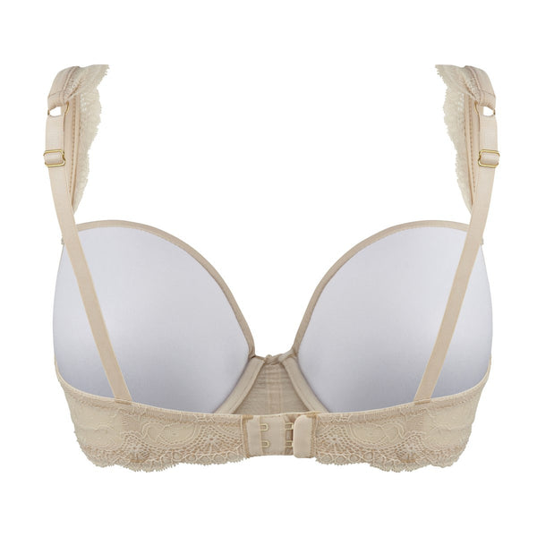 Panache Ardour Moulded Bra, Compare